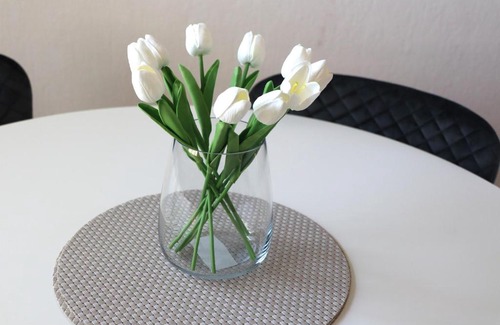 Holtgast Apartment | Ferienwohnung Borkum