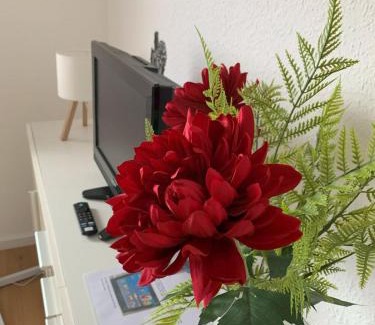 Rust Apartment | Ferienwohnung-Brunken-Rust