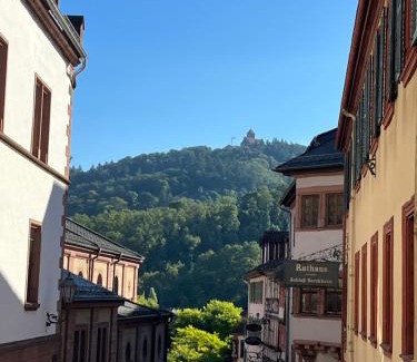 Weinheim Apartment | Ferienwohnung Burgenblilck