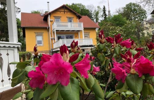 Wachwitz Apartment | Ferienwohnung Casa Casimir mit Elbblick, Balkon und großen Garten