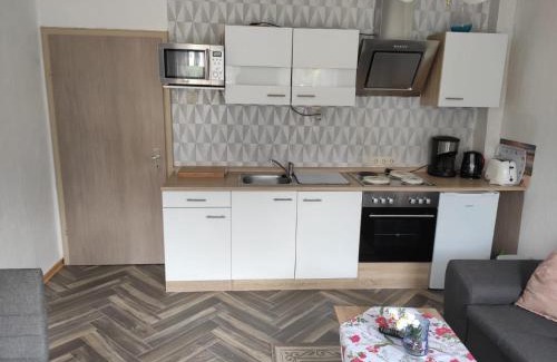 Steina Apartment | Ferienwohnung Cziesla