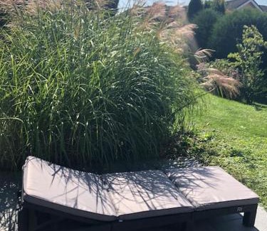Ludwigshafen Apartment | Ferienwohnung mit Terrasse und Garten in Seenähe