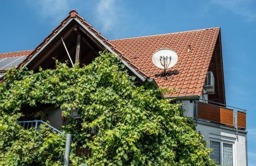 Kappel-Grafenhausen Apartment | Ferienwohnung Leon
