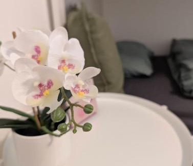 Tittmoning Apartment | Ferienwohnung
