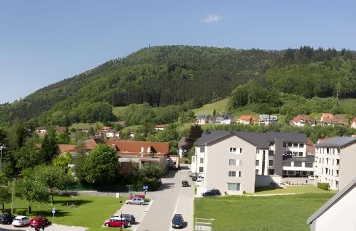 Aftersteg Apartment | Ferienwohnung Dietsche Todtnau