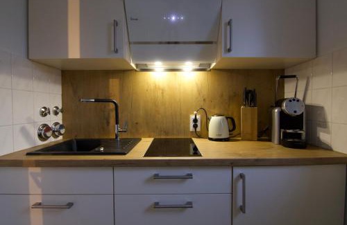 Loerrach Apartment | Ferienwohnung Dreiländereck 1