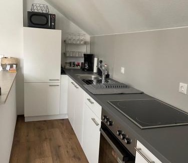Bad Kissingen Apartment | Ferienwohnung Ela