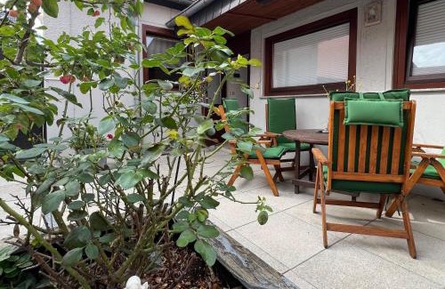 Falkenstein Apartment | Ferienwohnung Elly
