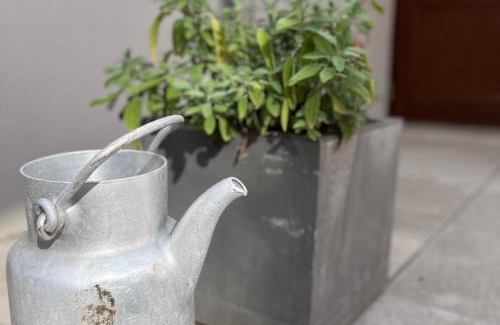 Falkenstein Apartment | Ferienwohnung Elly