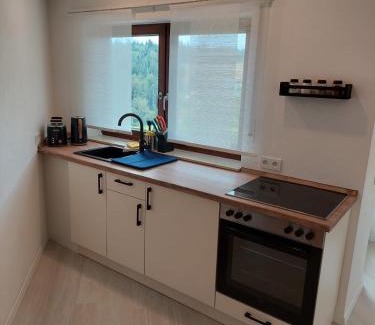 Altensteig Apartment | Ferienwohnung Familie Aestel