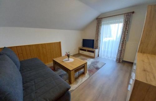 Mitterberg Apartment | Ferienwohnung Feichter