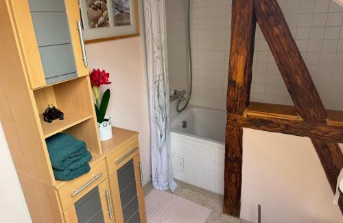 Gera Apartment | Ferienwohnung Gästewohnung mit privater Dachterrasse zentrumsnahe Lage