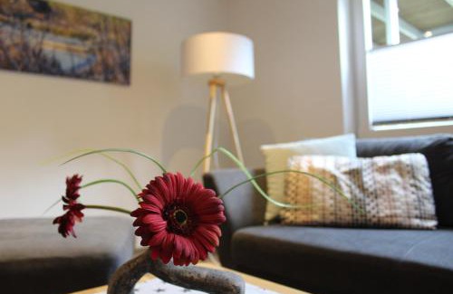 Grafschaft House | Ferienwohnung & Gästezimmer Schrichten