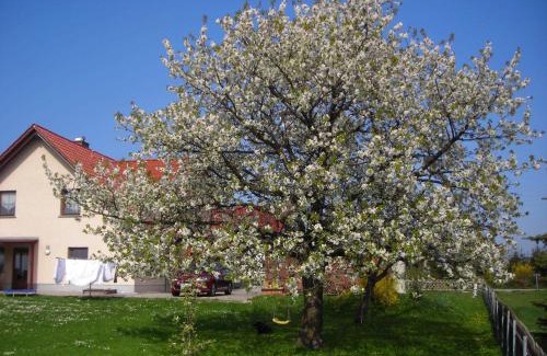 Stolpen Apartment | Ferienwohnung Gisela Kästner Stolpen