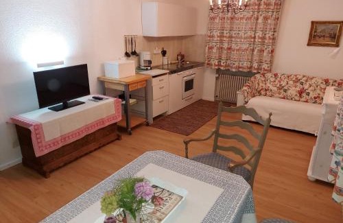 Munchen District Apartment | Ferienwohnung Grünwald