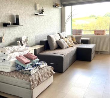 Bad Lauterberg Apartment | Ferienwohnung HAGEBUTZE Entspannung pur mit Sauna-Poolzugang