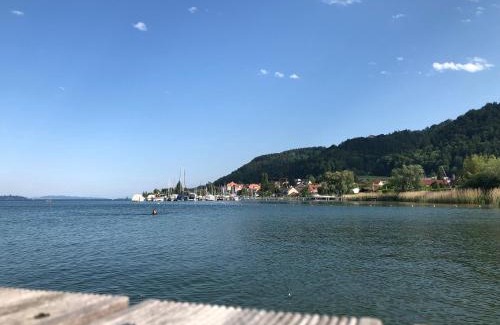 Espasingen Apartment | Ferienwohnung Haid Bodensee, Umgebung Bodman-Ludwigshafen, Radolfzell, Überlingen, Luxus FeWo Haid