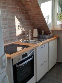 Goslar Apartment | Ferienwohnung Harzer Wolf in Goslar/Sudmerberg
