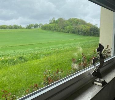 Bad Bertrich Apartment | Ferienwohnung Haus Abrioux Zur Falkenlay