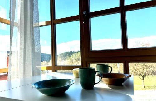 Hillstett Apartment | Ferienwohnung "Heidi" mit traumhaftem Ausblick
