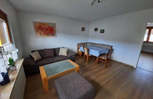 Engen Apartment | Ferienwohnung Hewenpanorama