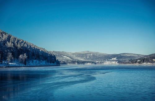 Schluchsee Apartment | Ferienwohnung "Hygge" in Schluchsee