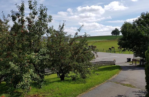 Hockendorf Apartment | Ferienwohnung im Obstgarten