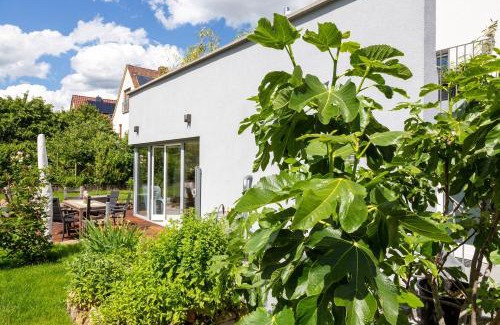 Deidesheim Apartment | Ferienwohnung im Paradiesgarten