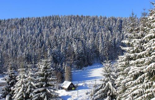 Klingenthal Apartment | Ferienwohnung in Klingenthal mit Terrasse, Grill und Garten