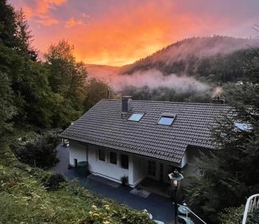 Bad Wildbad Apartment | Ferienwohnung in ruhiger Waldrandlage