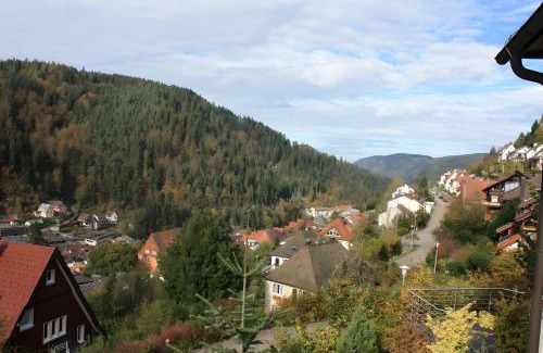 Triberg im Schwarzwald Apartment | Ferienwohnung King