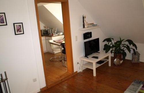 Speyer Apartment | Ferienwohnung Klatschmohn