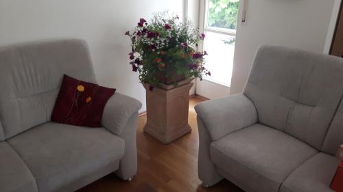 Pidingerau Apartment | Ferienwohnung Lennefer