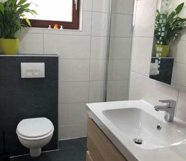 Bad Sachsa Apartment | Ferienwohnung Liebing
