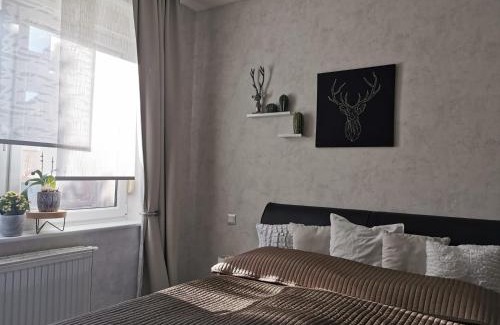 Naumburg Apartment | Ferienwohnung Luise mit separater Küche