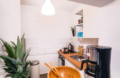 Gera Apartment | Ferienwohnung Maria - Gera Zentrum NEU renoviert