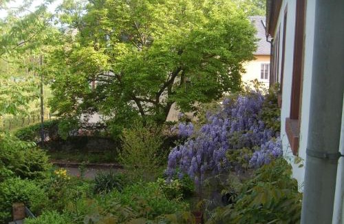 Neumagen-Dhron Apartment | Ferienwohnung Mit Garten Und Parkplatz