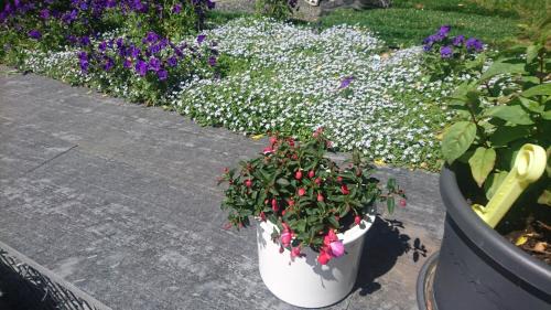 Klingenthal Apartment | Ferienwohnung mit Garten und Spielplatz