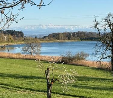 Ueberlingen Apartment | Ferienwohnung mit See und Alpenblick