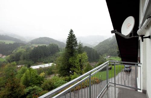 Bad Peterstal-Griesbach Apartment | Ferienwohnung mit Weinbergblick