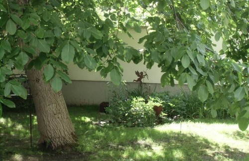 Luckenwalde Apartment | Ferienwohnung Monika