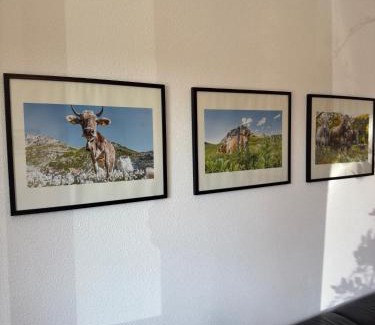 Goppertsweiler Apartment | Ferienwohnung nahe des Bodensees