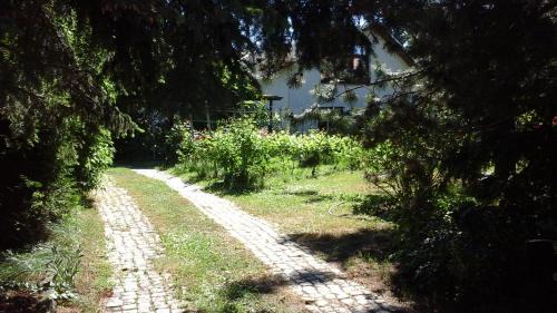 Oberloßnitz Apartment | Ferienwohnung Nessler
