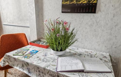 Hermsdorf-Erzgebirge Apartment | Ferienwohnung Neuhermsdorf