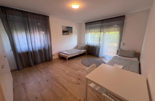 Mainz-Bingen Apartment | Ferienwohnung Oppenheim
