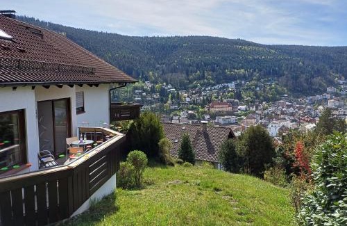 Bad Wildbad Apartment | Ferienwohnung Panoramablick