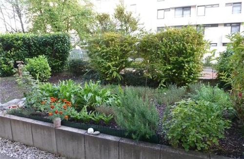 Pfersee-Nord Apartment | Ferienwohnung Pfersee mit Terasse