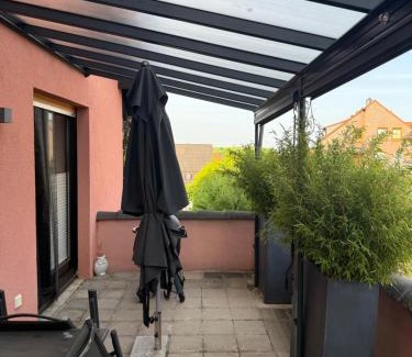 Hackenheim Apartment | Ferienwohnung Rebenruhe