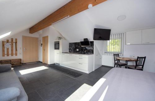 Lauingen Apartment | Ferienwohnung Regel