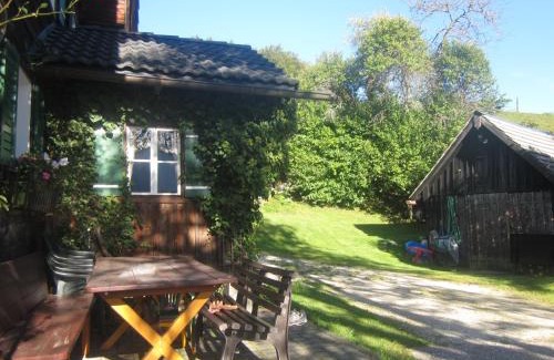 Bad Goisern Apartment | Ferienwohnung Rehkoglgut